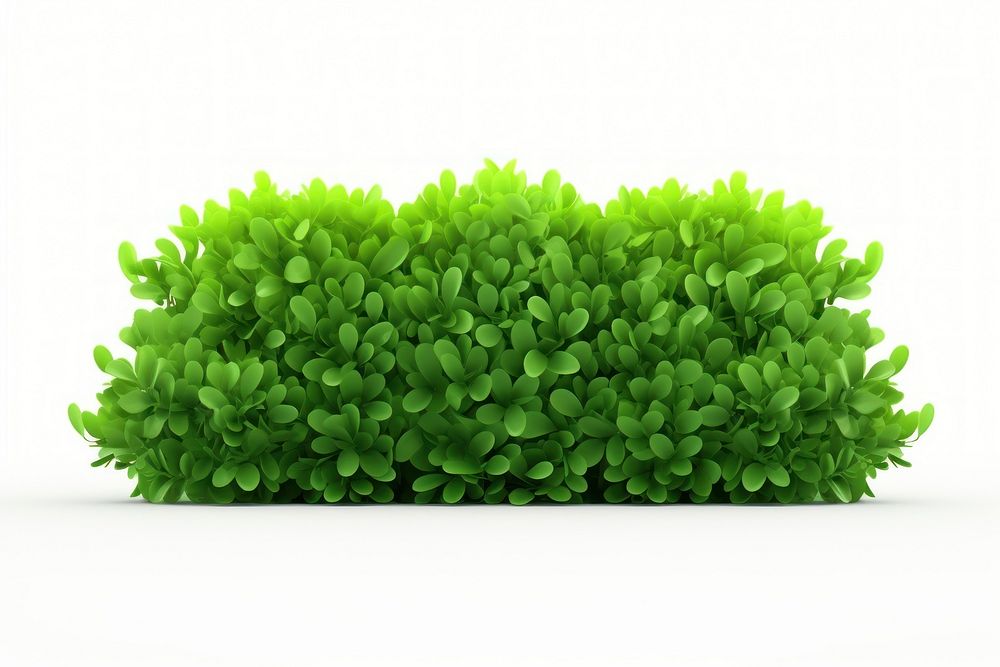 Green plant grass white background. AI generated Image by rawpixel.