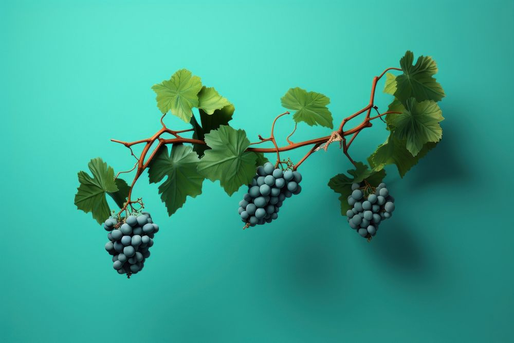Vine grapes plant fruit. AI generated Image by rawpixel.