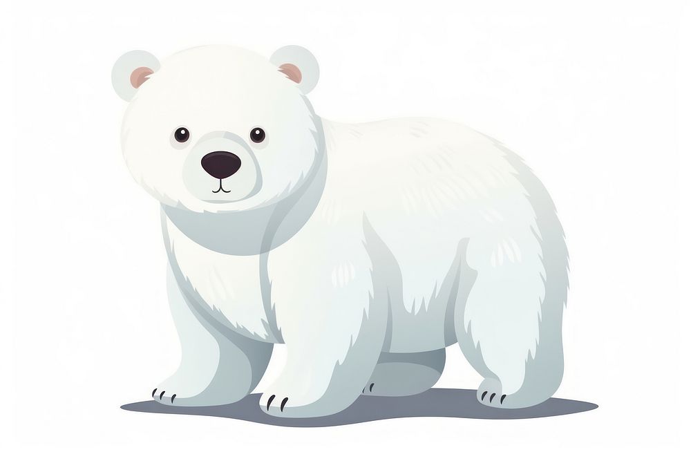 Bear mammal animal white. 