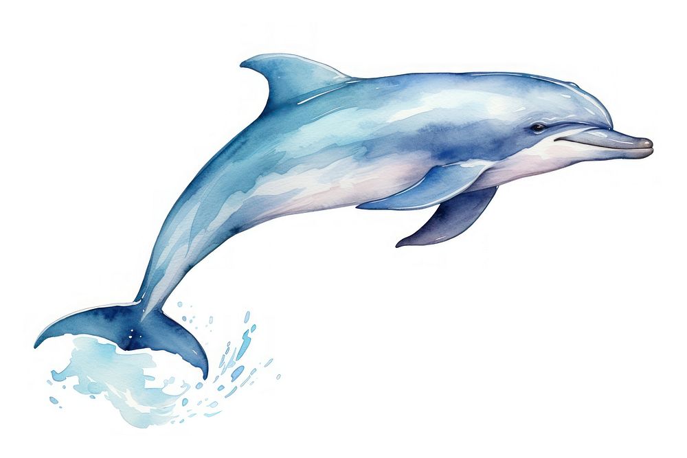 Dolphin animal mammal fish. AI generated Image by rawpixel.