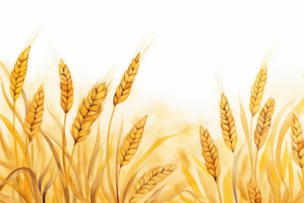 Wheat agriculture backgrounds nature. AI generated Image by rawpixel.