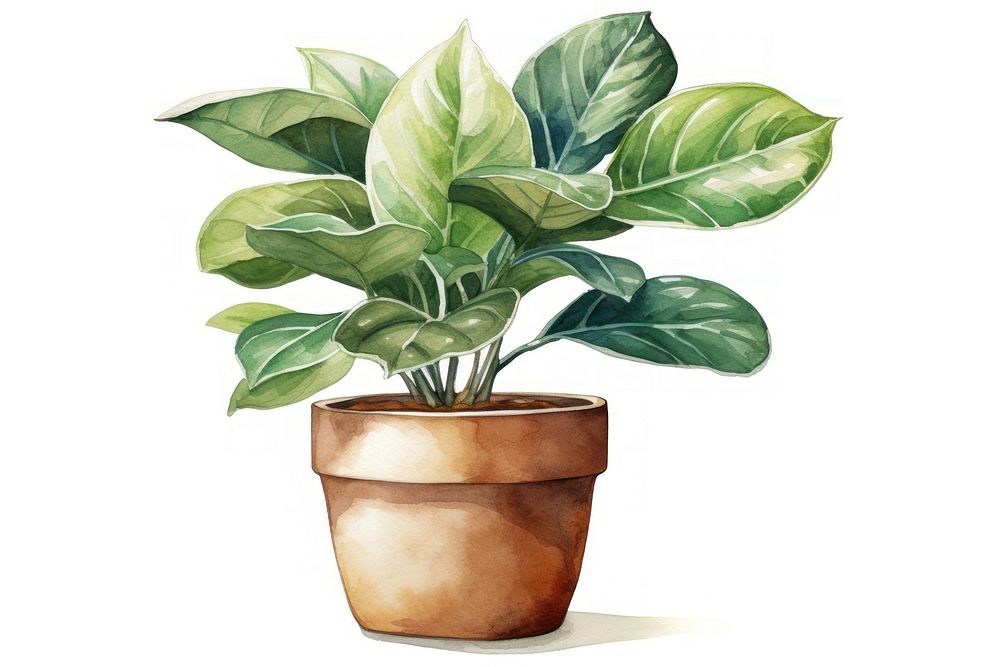 Plant leaf potted plant houseplant. AI generated Image by rawpixel.