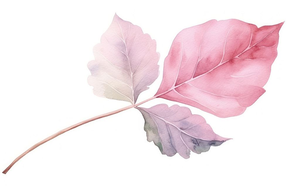 Flower plant leaf tree. AI generated Image by rawpixel.