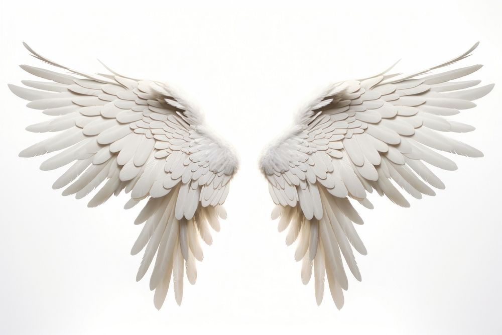 Bird angel white wing. AI | Free Photo - rawpixel