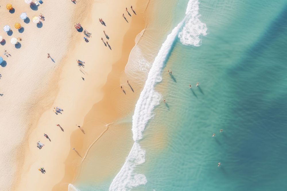 Beach outdoors nature ocean. 