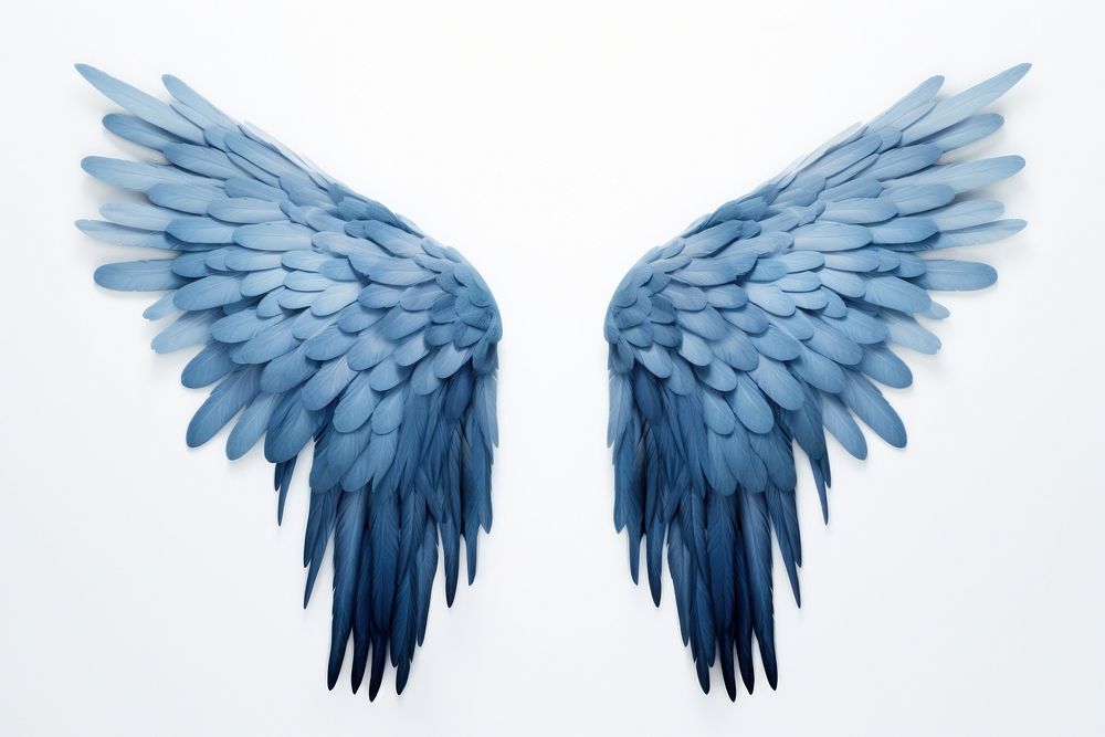Wing blue bird white background. AI generated Image by rawpixel.