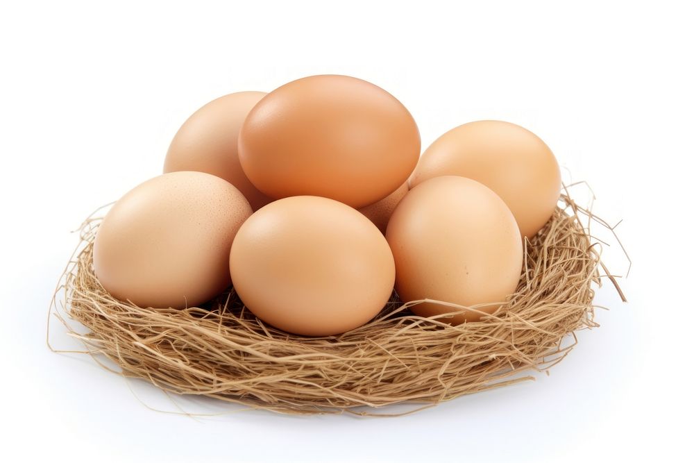 Egg food white background beginnings. AI generated Image by rawpixel.