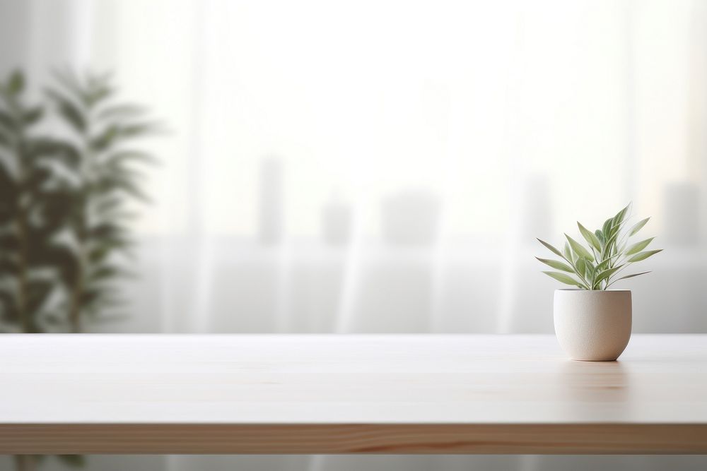Table windowsill furniture plant. AI generated Image by rawpixel.