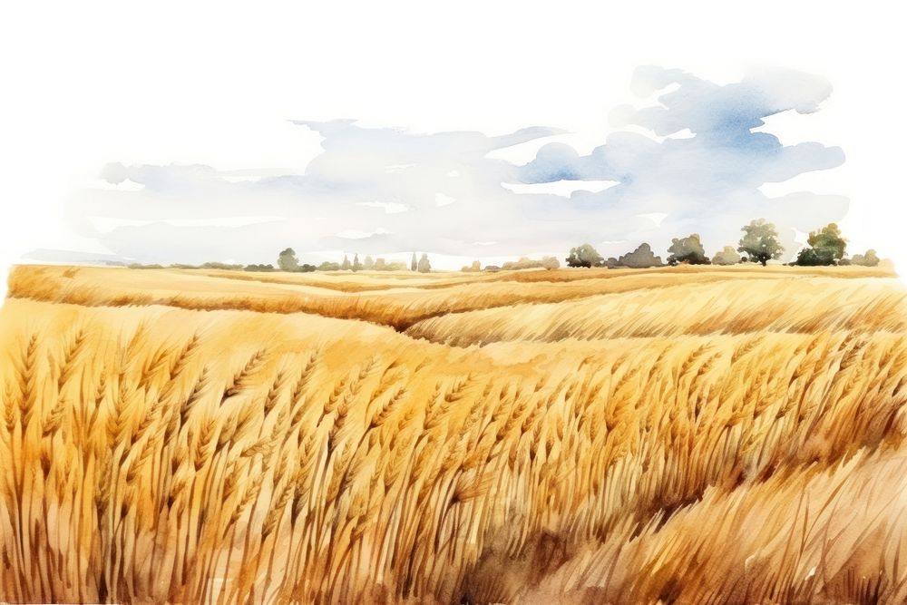 Field agriculture outdoors harvest. AI generated Image by rawpixel.