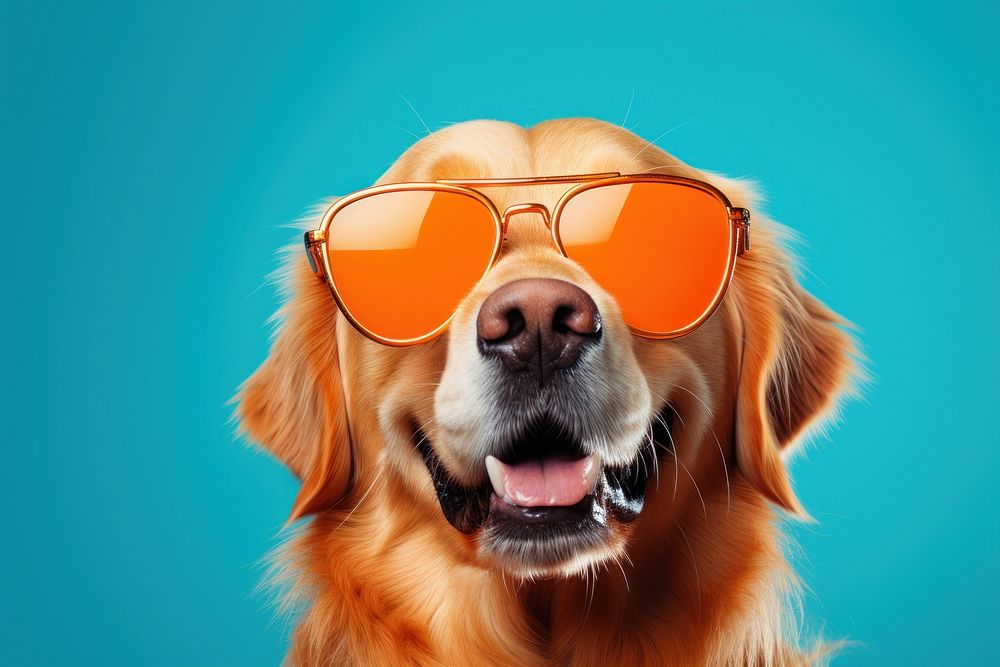 Sunglasses dog retriever mammal. AI generated Image by rawpixel.