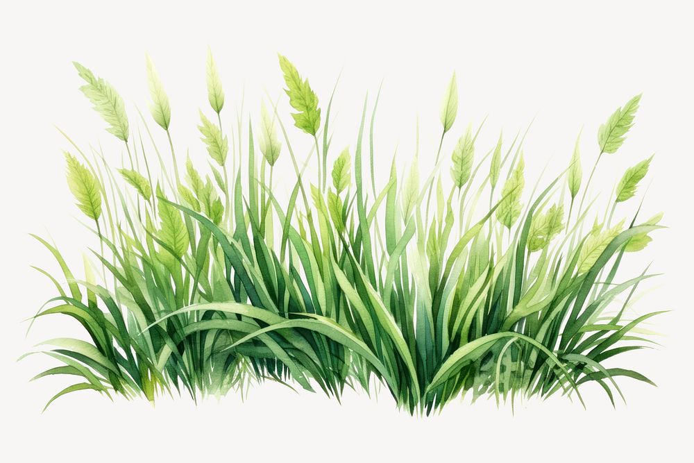 Grass plant green tranquility. AI generated Image by rawpixel.