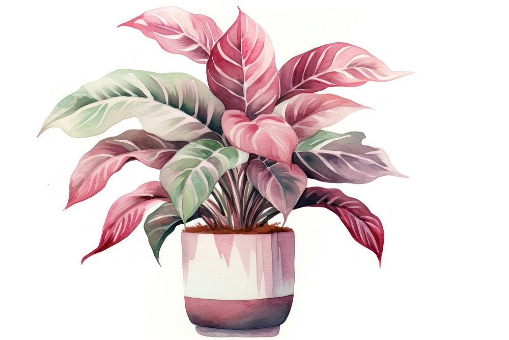 Plant houseplant leaf creativity. AI generated Image by rawpixel.