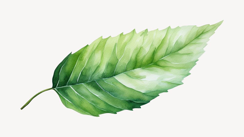 Leaf plant freshness nature. AI generated Image by rawpixel.