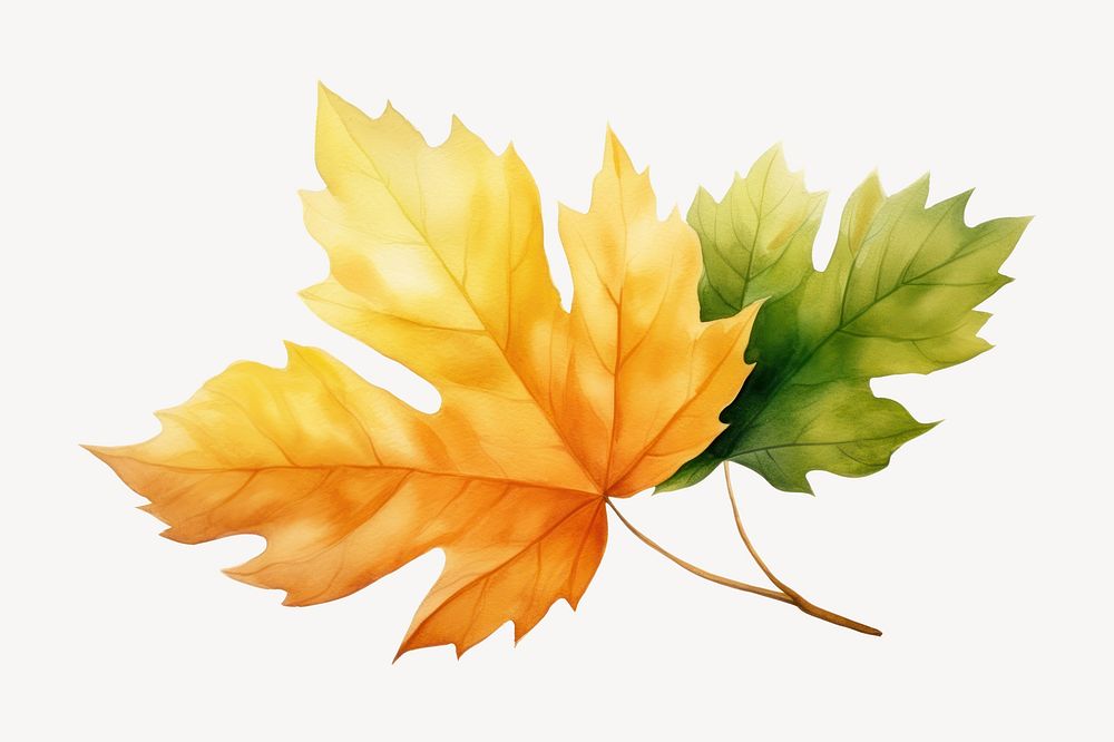 Leaf plant tree fragility. AI generated Image by rawpixel.