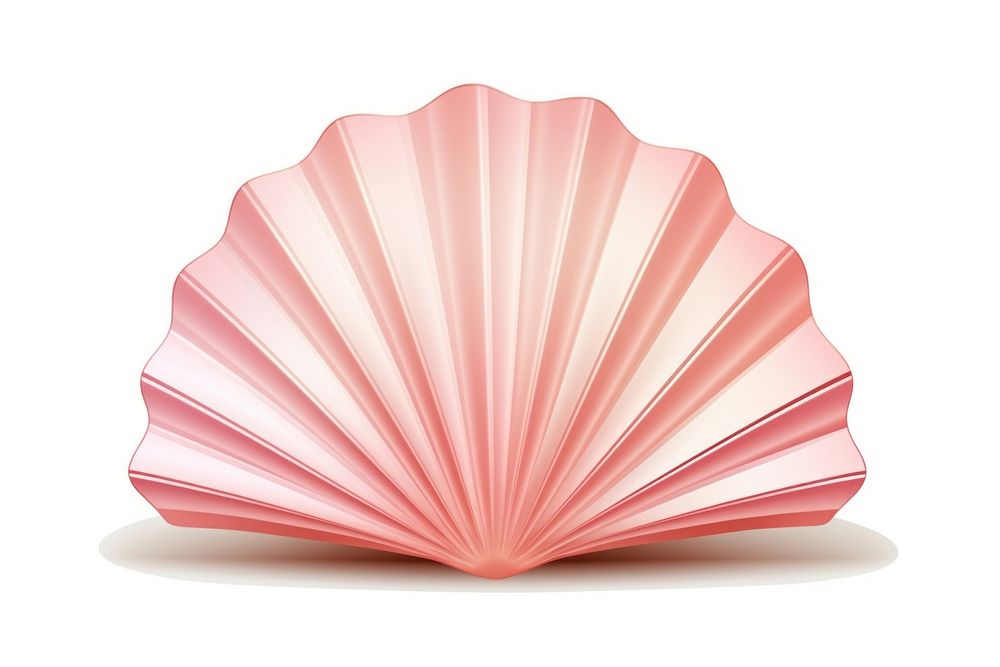 Shell pink white background invertebrate. AI generated Image by rawpixel.