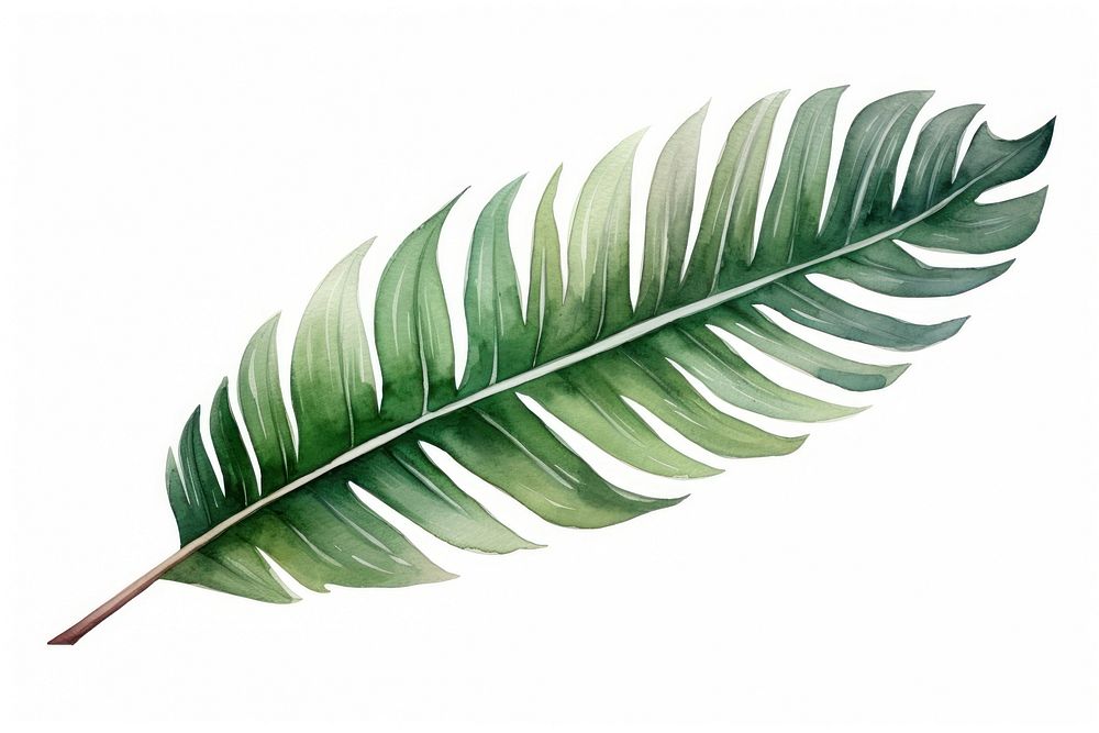 Plant leaf nature frond. AI generated Image by rawpixel.