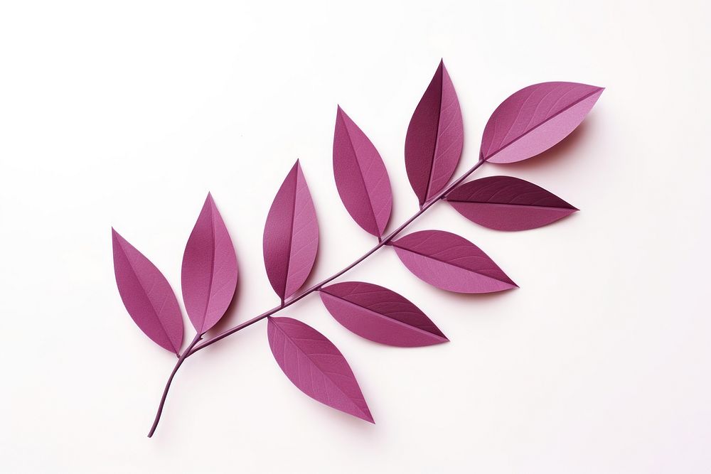 Plant paper leaf white background. AI generated Image by rawpixel.