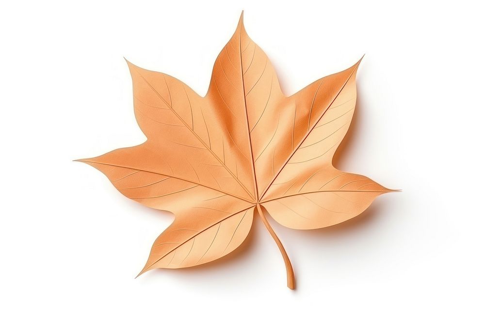 Leaves plant paper leaf. AI generated Image by rawpixel.