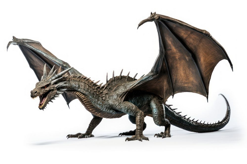 Dragon dinosaur reptile animal. 