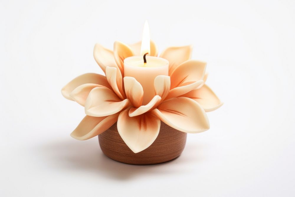 Flower candle plant celebration. AI generated Image by rawpixel.