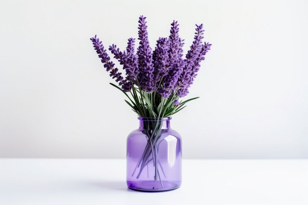 Lavender jar flower plant. AI generated Image by rawpixel.