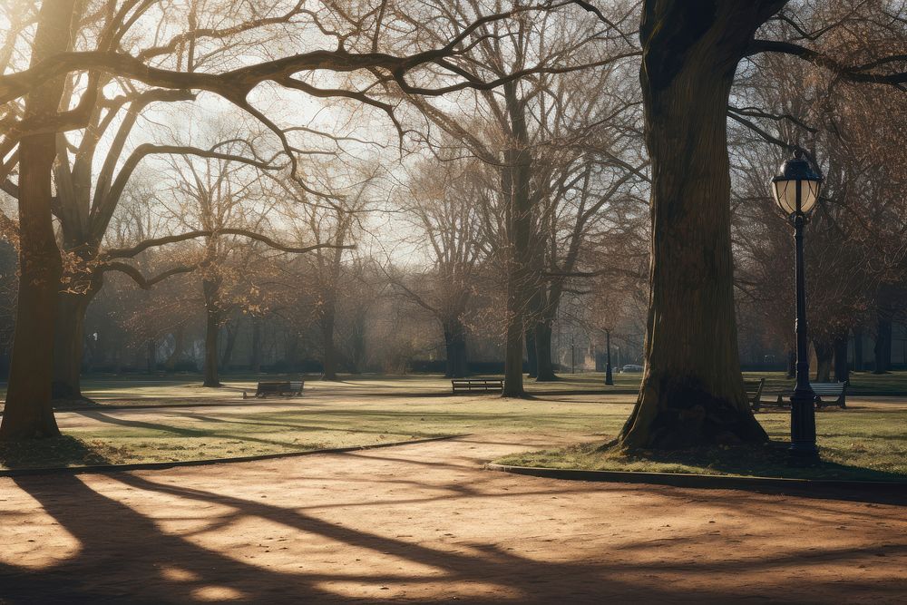 Park sunlight outdoors nature. AI generated Image by rawpixel.