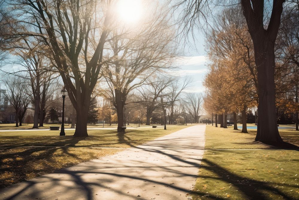 Park sunlight outdoors autumn. AI generated Image by rawpixel.
