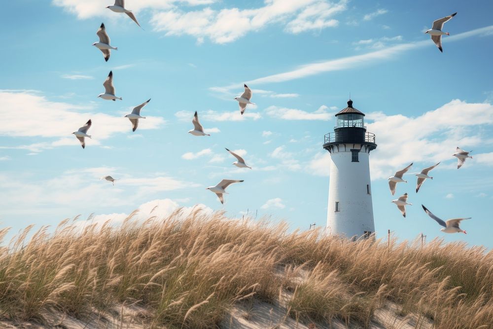Seagull lighthouse outdoors flying. AI generated Image by rawpixel.