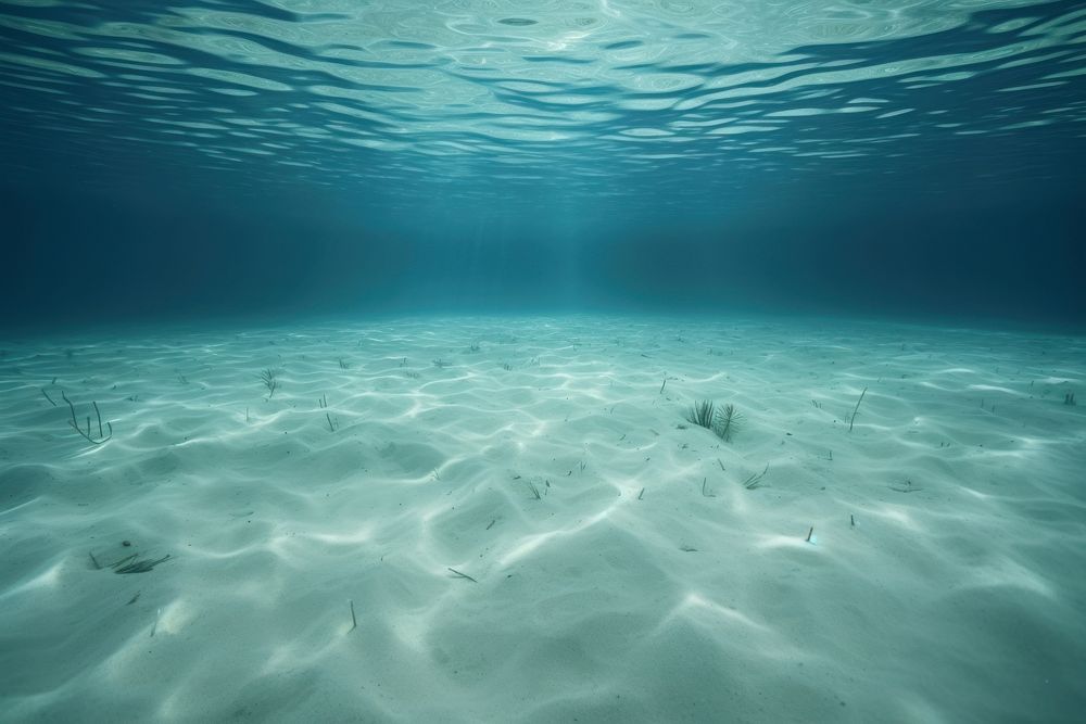 Underwater outdoors nature ocean. 