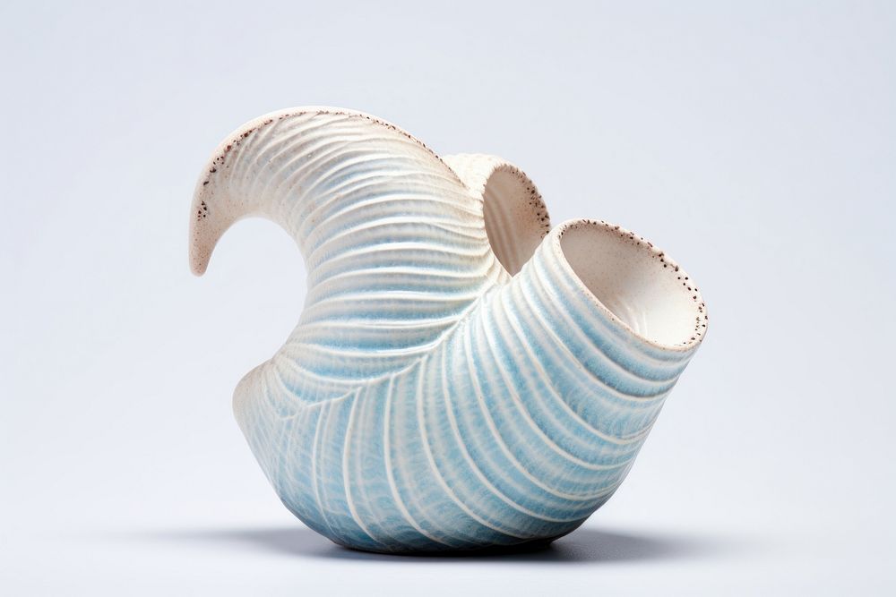 Porcelain seashell pottery art. 