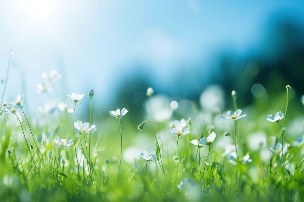 Flower summer grass backgrounds. AI generated Image by rawpixel.