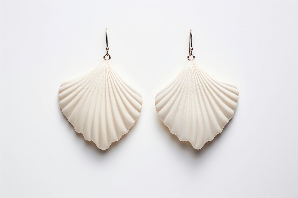 Earring seashell jewelry white. 