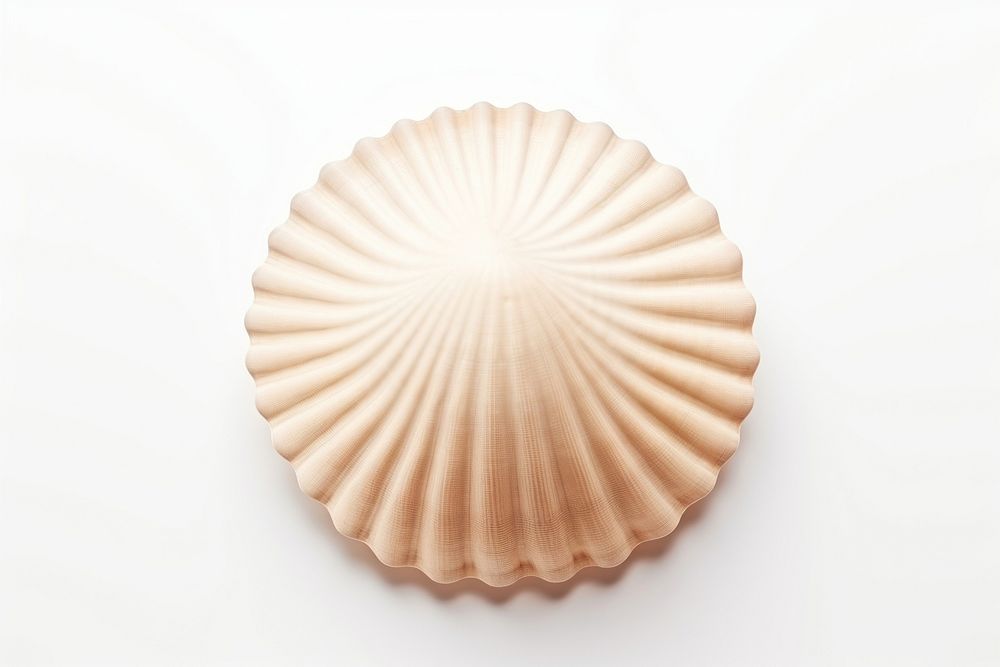 Seashell clam food white background. AI generated Image by rawpixel.