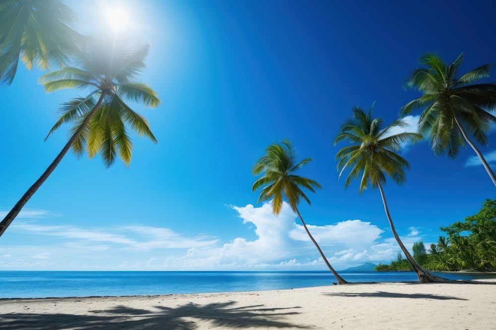 Summer beach tree sky. 