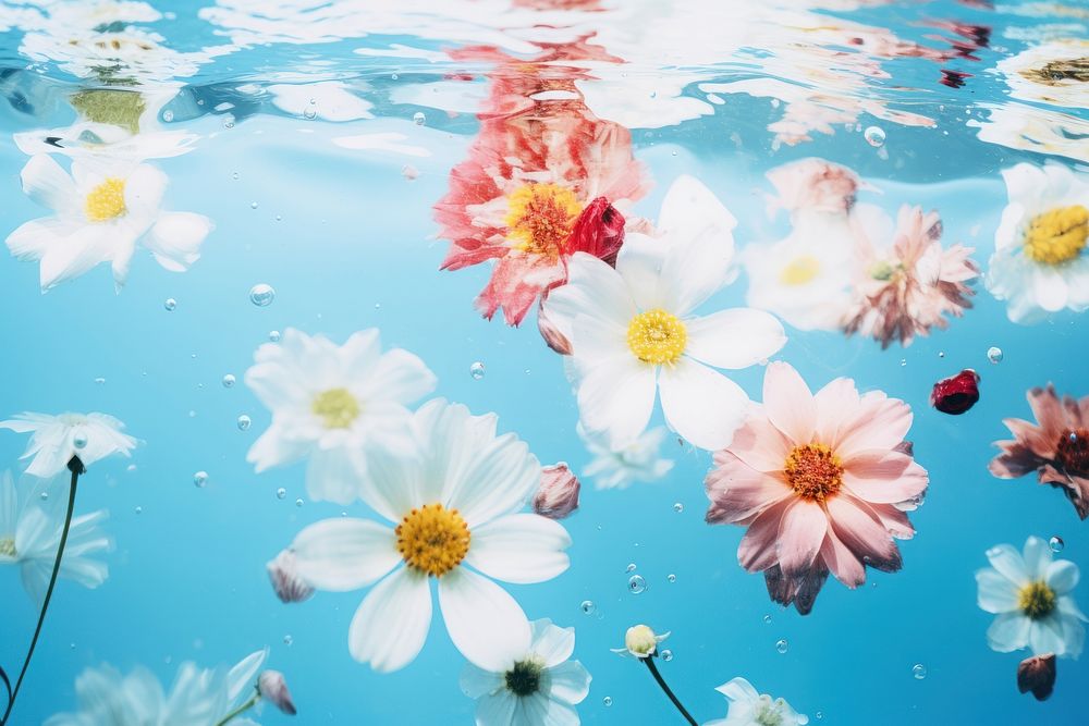 Flower underwater outdoors blossom. AI generated Image by rawpixel.