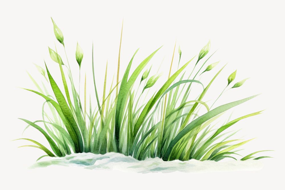 Grass plant green reed. AI generated Image by rawpixel.