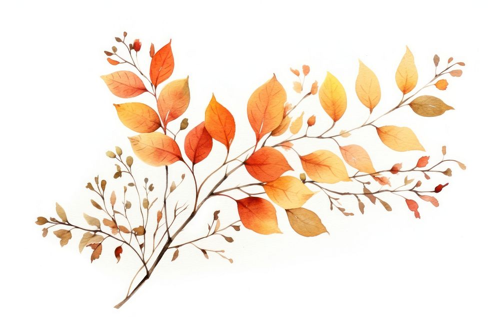 Pattern autumn plant leaf. AI generated Image by rawpixel.