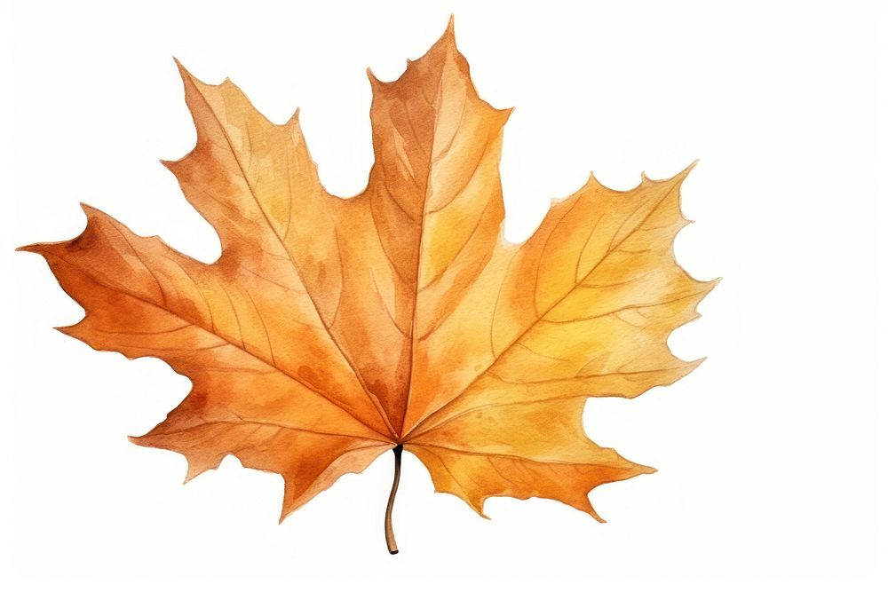 Maple leaves autumn plant. AI generated Image by rawpixel.