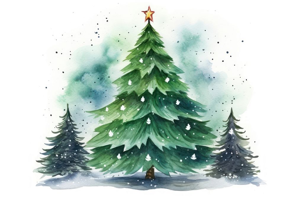 Christmas tree plant pine. AI | Premium Photo - rawpixel