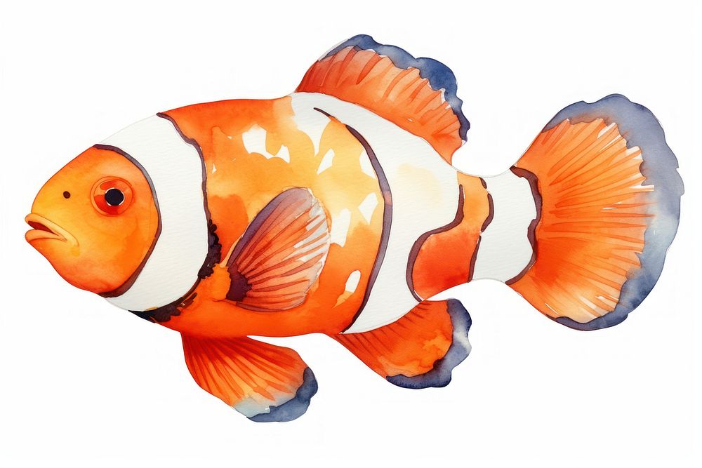 Fish animal sea pomacentridae. AI generated Image by rawpixel.