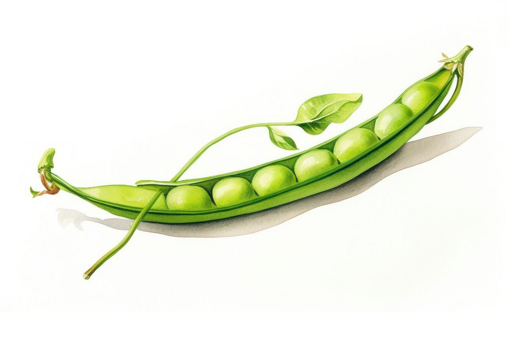 Vegetable pea plant green. AI generated Image by rawpixel.
