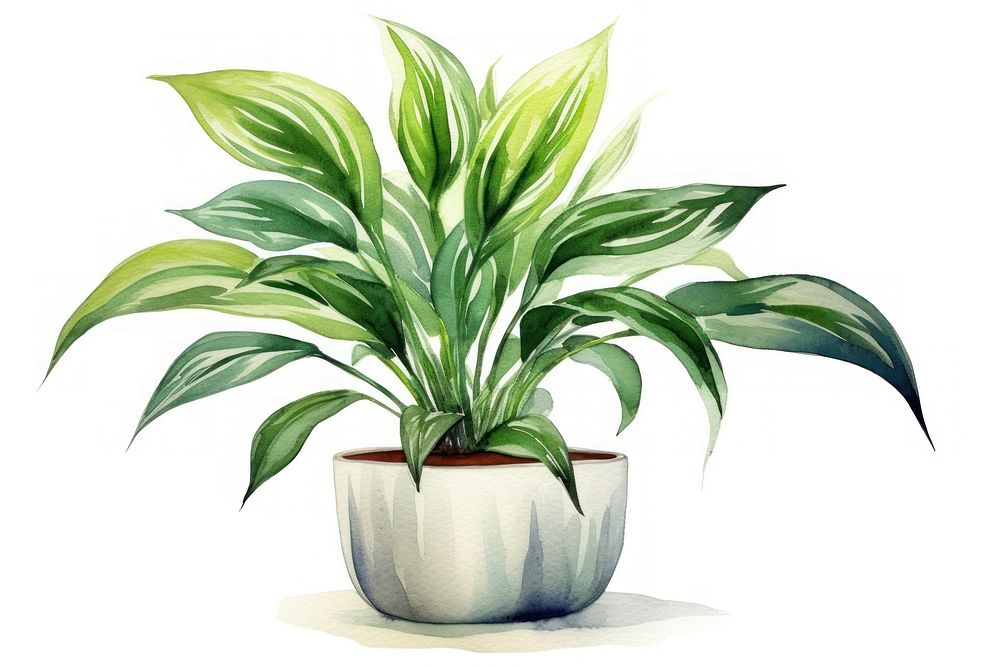 Plant houseplant leaf freshness. AI generated Image by rawpixel.