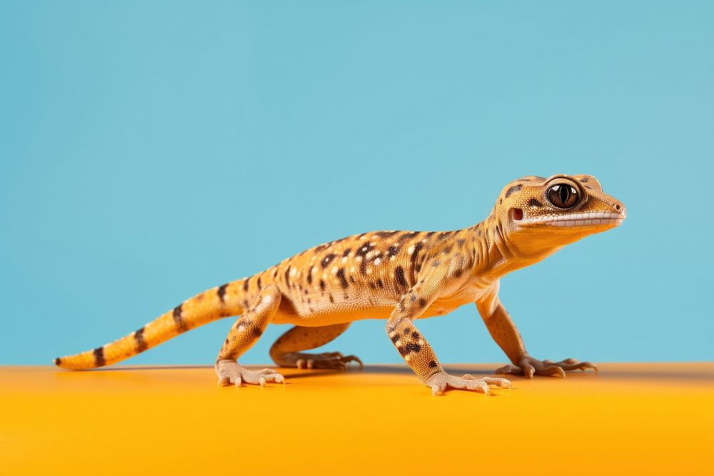 Gecko wildlife reptile animal. AI | Free Photo - rawpixel