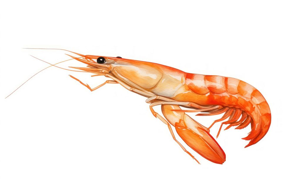Lobster seafood animal shrimp. AI generated Image by rawpixel.