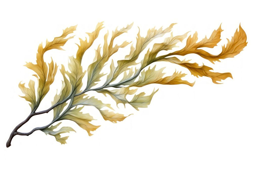 Seaweed plant leaf graphics, digital paint illustration. AI generated image