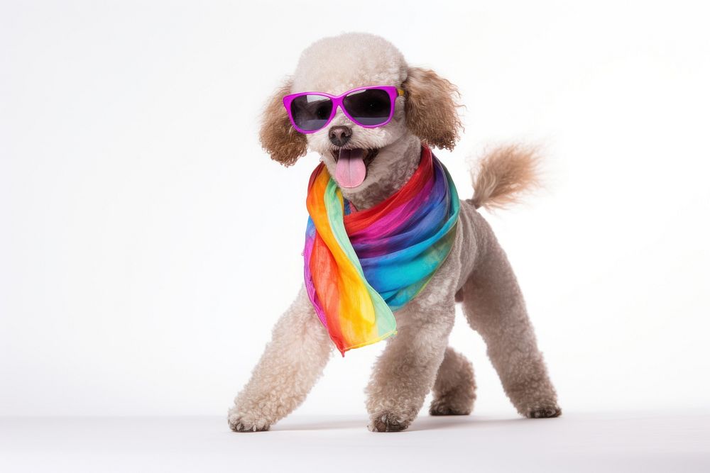 Glasses poodle sunglasses mammal. AI generated Image by rawpixel.
