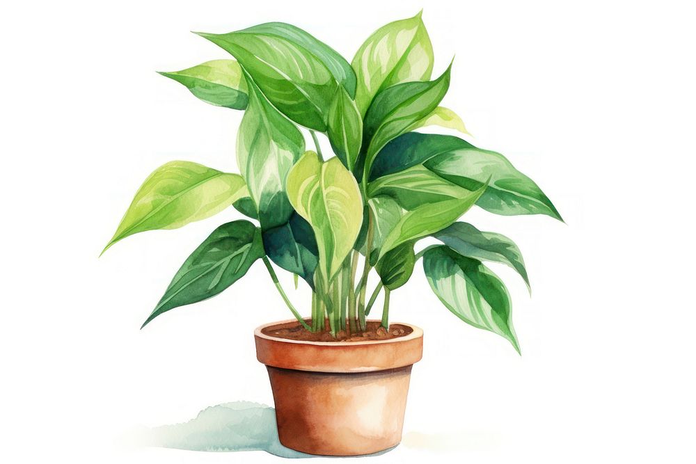 Plant leaf potted plant creativity. AI generated Image by rawpixel.
