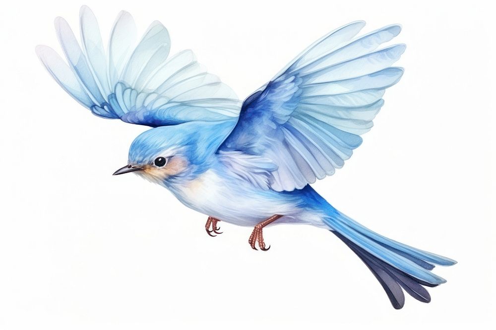 Bird animal wildlife bluebird. AI generated Image by rawpixel.