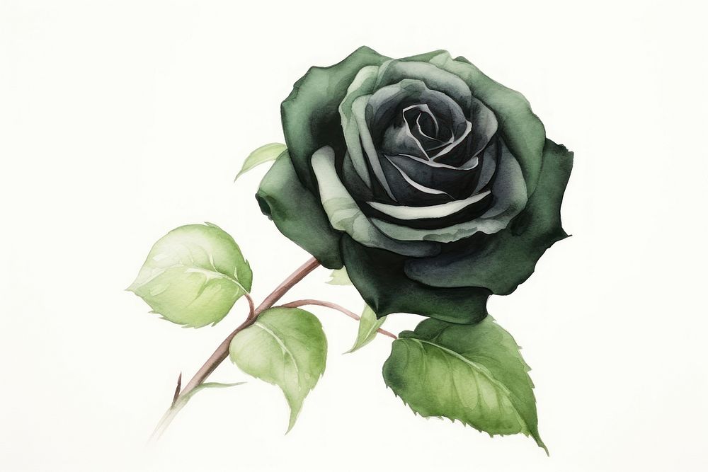 Green rose leaf flower. AI generated Image by rawpixel.