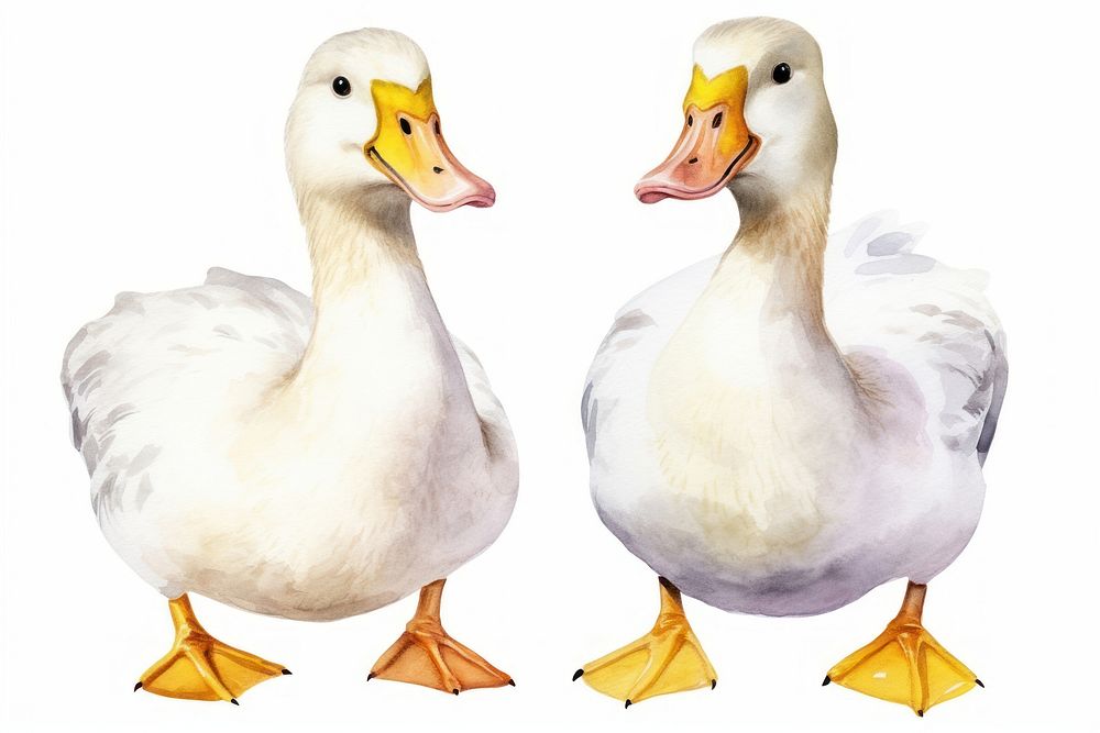 Duck animal yellow goose. AI generated Image by rawpixel.
